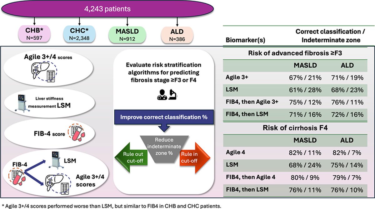 AGILE 3+ and 4 validated for MASLD & ALD ✅Same overall accuracy (AUC) as LSM ✅Improved classification rate with rule in and -out cut-offs for referral ✅Especially good as 2. line test after FIB4 @JHepatology #LiverTwitter journal-of-hepatology.eu/article/S0168-…