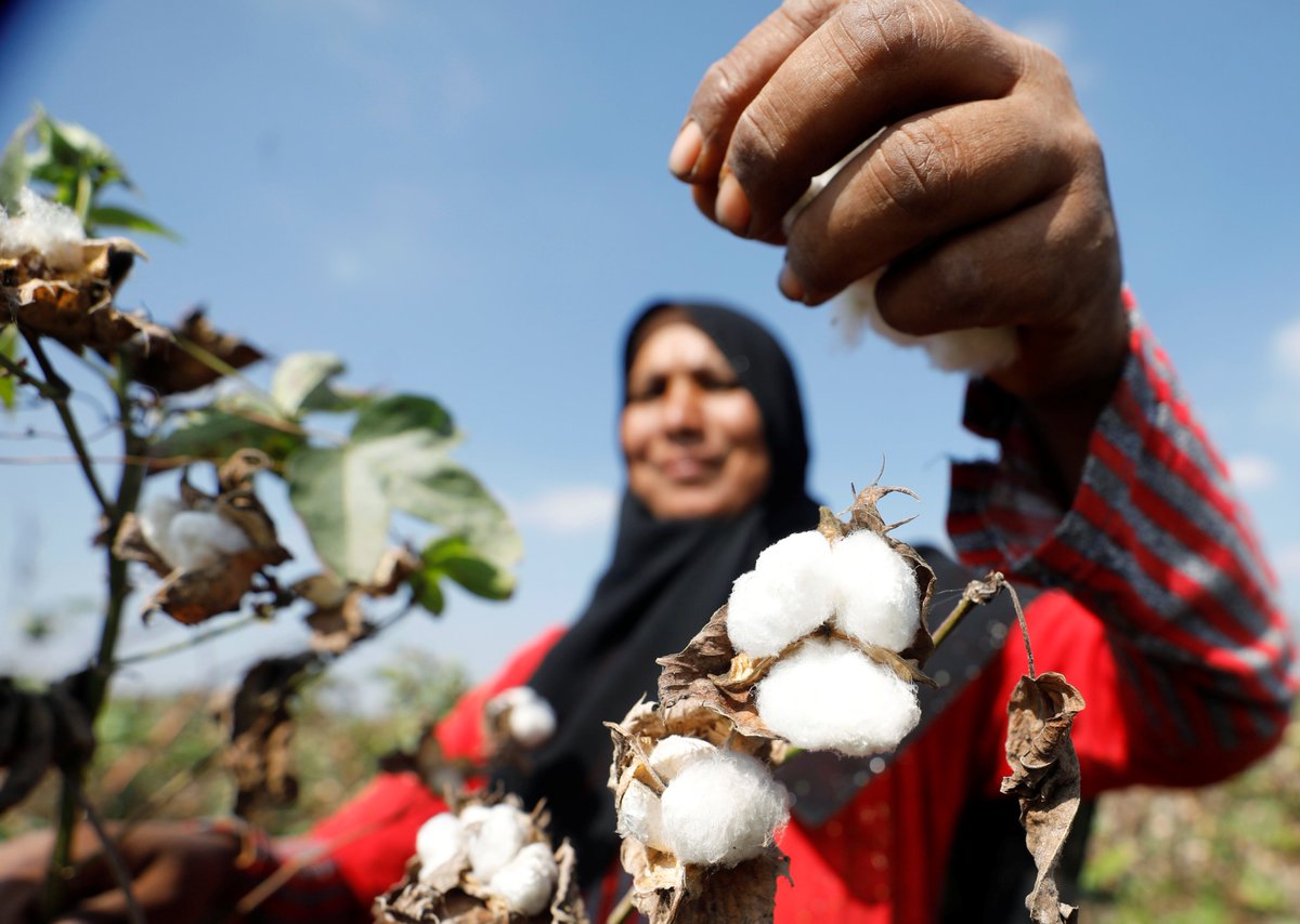 Comment: How regenerative #cotton farming can transform lives as well as the #apparel sector. Read oped by Alison Ward, CEO @Cotton_Connect. @alisoncward @maggie_lht #regenerativefarming #climateresilience #farming #biodiversity @LiamDowd10 @tslavinm reuters.com/sustainability…