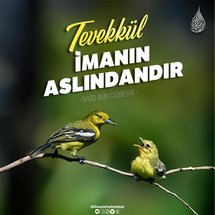“Bir adam, "Ey Allah"ın Resûlü! Devemi bağlayıp da mı Allah"a tevekkül edeyim, yoksa bağlamadan mı tevekkül edeyim?" diye sordu. Resûlullah (sav), "Önce onu bağla, sonra Allah"a tevekkül et!" buyurdu.” 
(Tirmizî, Sıfatü"l-kıyâme, 60)

#tevekkül  #SONDAKİKA #gündem #hadis