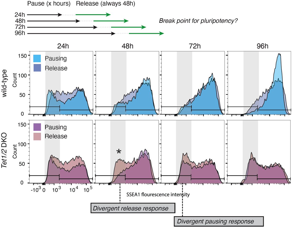 Maximilian Stötzel tweet media