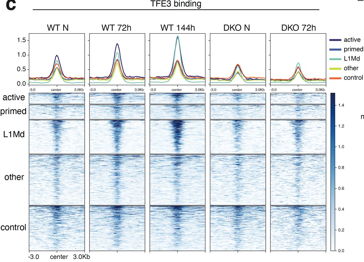 Maximilian Stötzel tweet media
