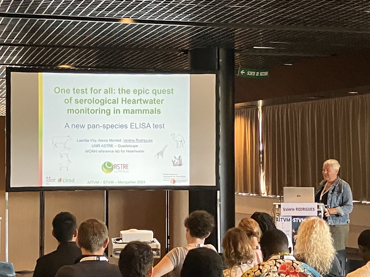 damimeyer's tweet image. Nice #aitvm #stvm congress in Montpellier ! Our team working on #ehrlichia infectious strategies is greatly represented !