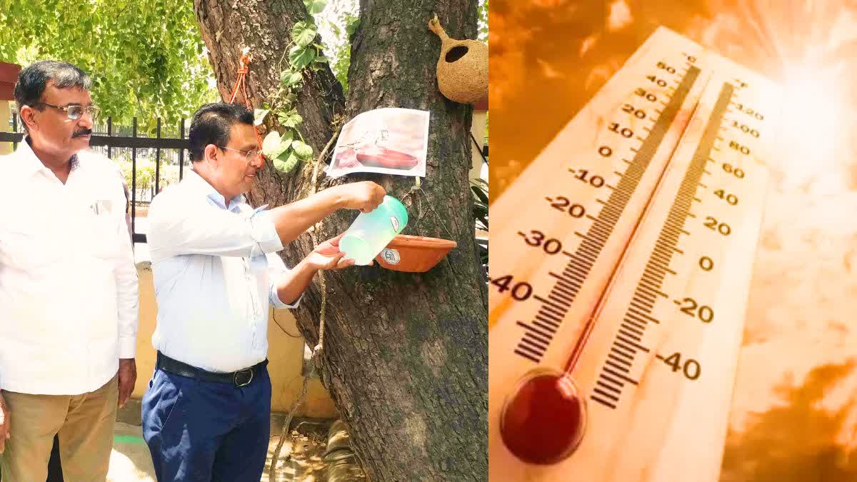 राजस्थान में मिशन SUN रक्षण का आगाज, सर्य की तपिश से पशु-पक्षियों को बचाने के लिए किए गए ये काम etvbharat.com//hi/!state/uni… @RajCMO @BhajanlalBjp @BJP4Rajasthan #UniqueInitiative #rajasthanweather #heatwave #heatwavealert