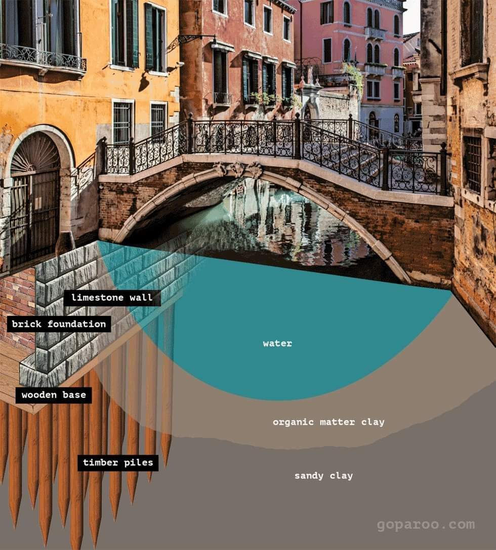 Venice was built on a foundation of about 10,000,000 underwater wooden logs or 8 to 10 tree logs per sq meter. Trunks function as roots. 1200 years later, those same trunks still support almost all of central Venice. Before starting to build the palazzi that line the canals, the