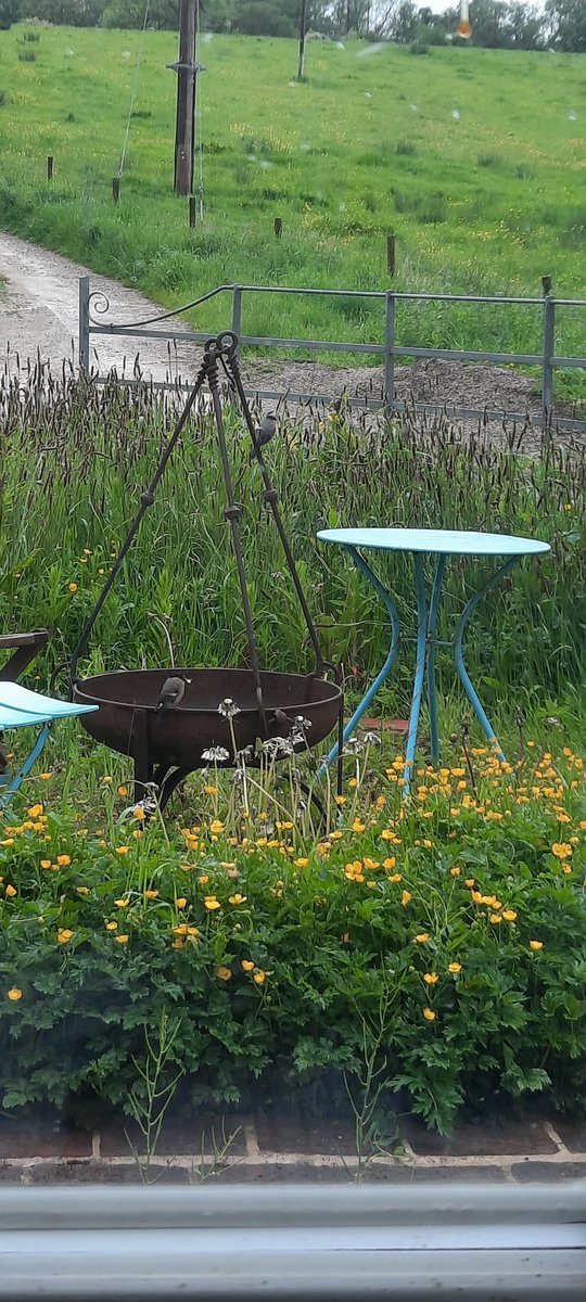 Fraser Hugill tweet media