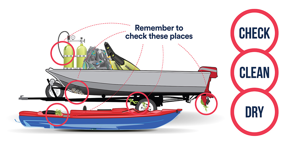 This #InvasiveSpecies week, we ask you to Check, Clean and Dry* to make sure that you reduce the risk of spreading invasive species. They may predate, out-compete or otherwise just mess everything up for our native wildlife! *we're talking about your boat and dive gear of course