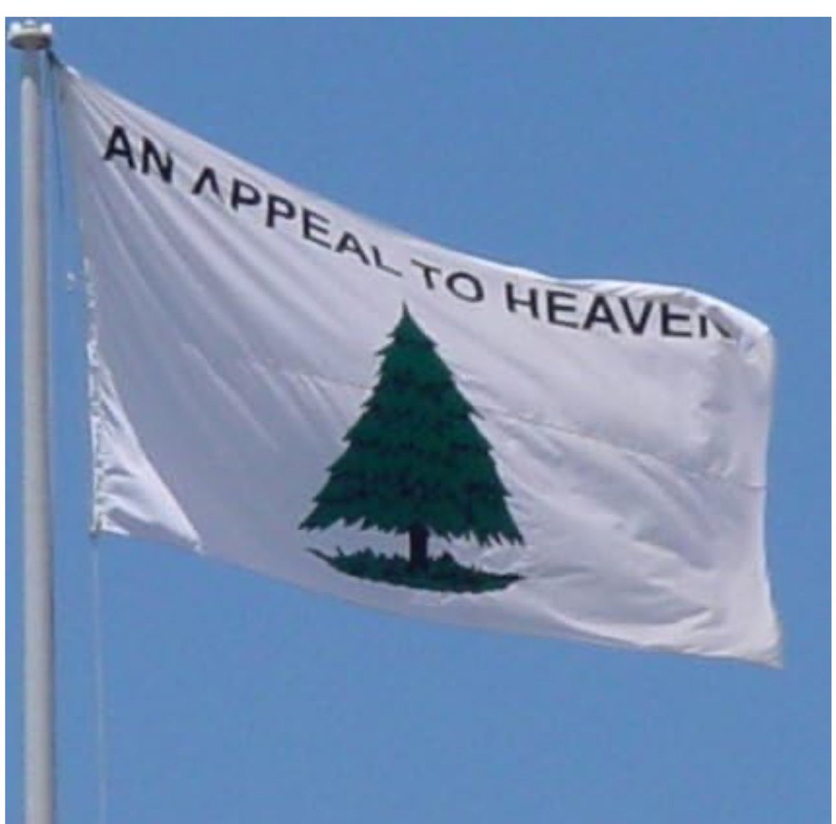 Appeal to Heaven means take your case to God. Why is the left in a tizzy about a Christian flag that symbolizes support for traditional values? Justice Alito and his wife should be applauded for their willingness to publicly stand for Judeo-Christian values. The Left is willing