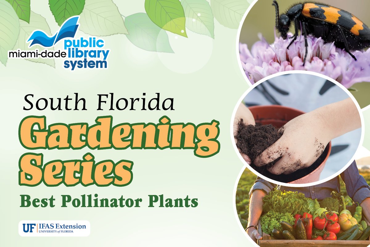 Learn about the best native and non-native pollinator plants to have in your garden and when to plant them this Saturday, May 25 at 2 p.m. at the West Kendall Regional Library! Register at spr.ly/6011d0SzH. @MiamiUrbanHort