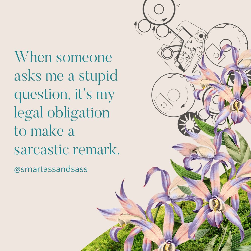 I am simply a law-abiding citizen.
⁠
smartassandsass.com⁠
⁠
|⁠
|⁠
#subbox #subscribe #humor #shopnow #subscription #dailyhumor #shopsmall #subscriptionbox #funny #quote #monthlybox #dailyquote #dailymeme #dailymemes #womanowned