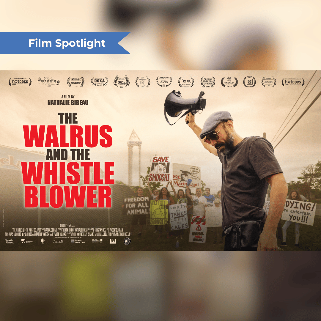 The Walrus and the Whistleblower explores the unfortunate reality of marine mammal captivity. Phil Demers hoped to initiate a law to ban the captivity of whales, dolphins, and other mammals. 

#FilmFestival #Whistleblowers #AnimalRights #AnimalActivists #MarineLife #Documentary