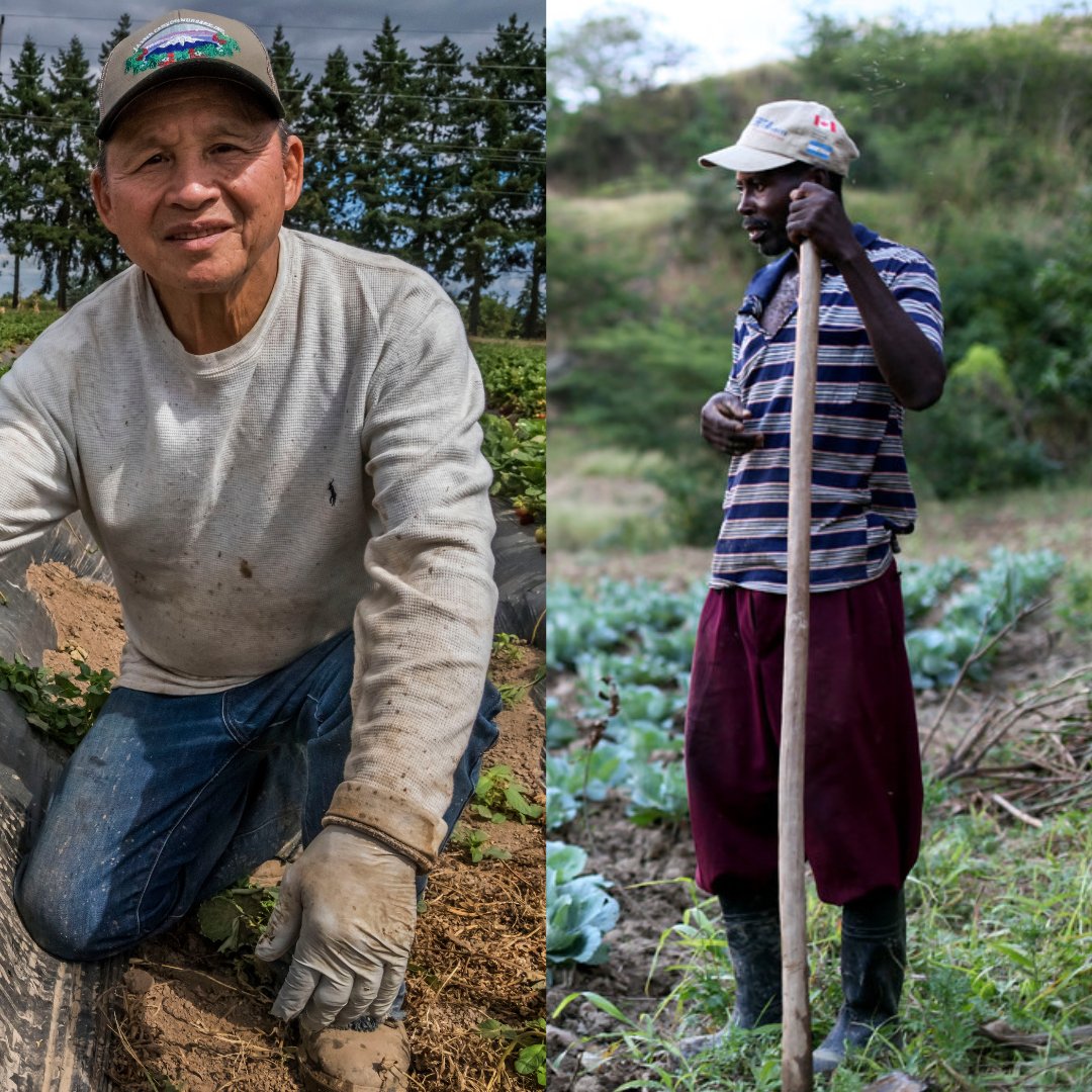 Farmworker Justice recognizes the hard work all Haitian and Asian American Pacific Islander farmworkers do to feed our nation. 

#farmworkerjustice
#AAPIHeritageMonth
#HaitianHeritageMonth