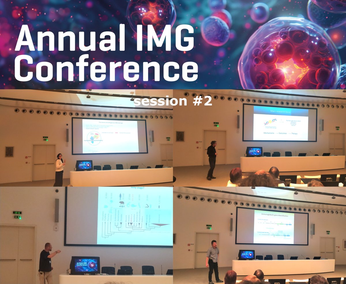 ➡️We are rolling with a great second session of the Annual @imgprague conference including talks by  @HanaHanzlikova, Zdeněk Hodný, @SvobodaLab & Filip Šenigl. 🔬🧬🐌🧪💊 #DNArepair #slug #RNA #hypermutation #drugdesign