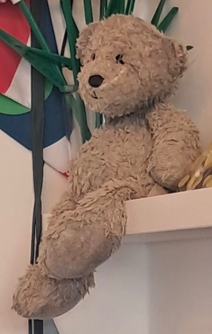 Die ‘zending’ is deze mottige oude <a href="/HEMA/">HEMA</a> knuffel, de lievelingsknuffel van mijn zoontje, <a href="/PostNL/">PostNL</a>. Hij luistert naar de naam Tommie, en Olaf mist hem. Is er echt níks wat jullie kunnen doen?