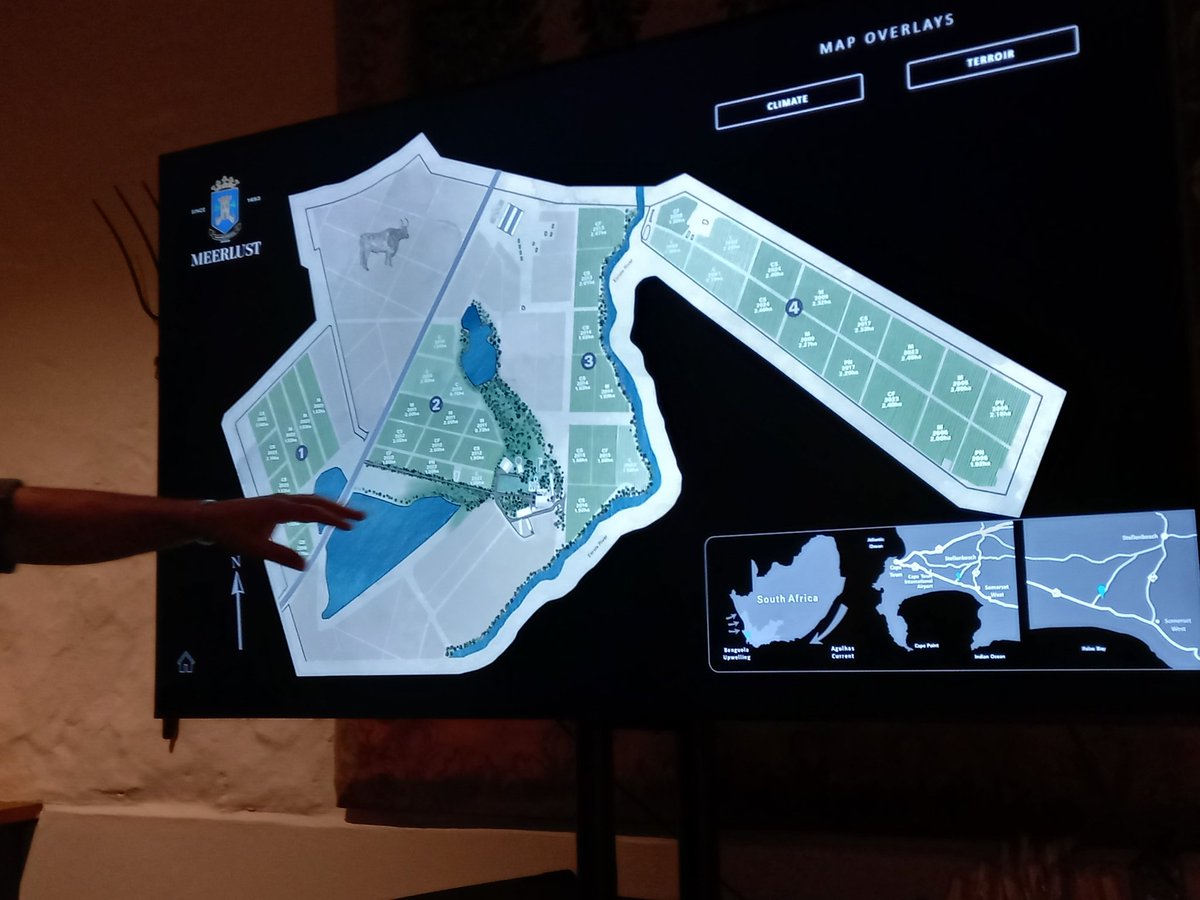 The map of @MeerlustWine illustrates the four discrete vineyard areas. Just 5km from the sea with consistent winds, it's frequently 5 degrees cooler than Stellenbosch, especially in February. 'We don't have sea breezes, we have sea winds!' said Win Truter