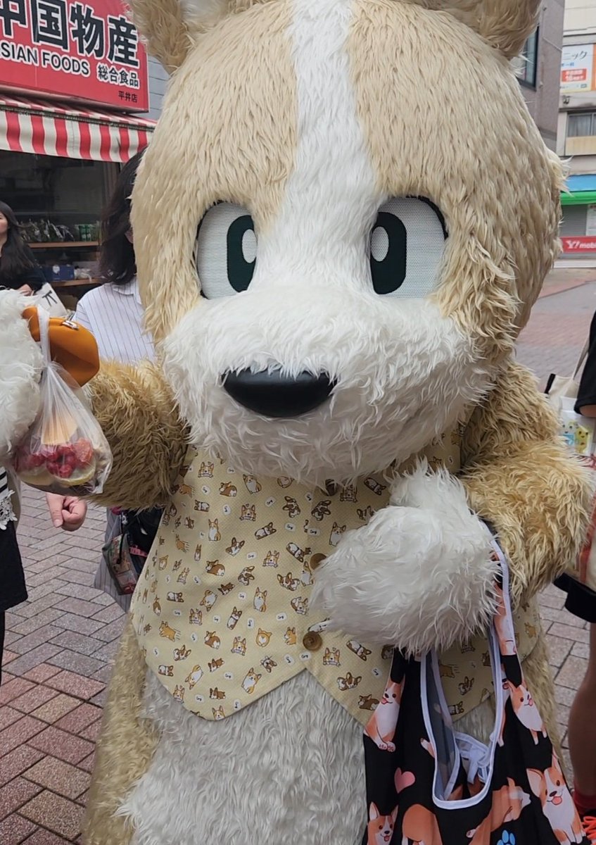 tomoyon39's tweet photo. おかいもの～🎶おかいもの～🎶
#コギこた #BMARKET https://t.co/iNvgpJmVNj
