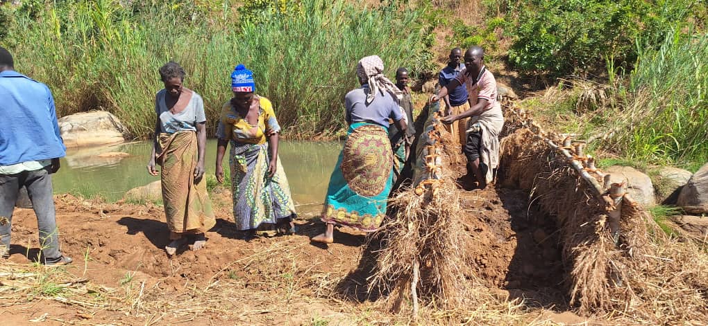 @FAOMalawi with support from @JapanGov has supported farmers of Thete #irrigationscheme under Chamama EPA to construct an embankment to impound water to irrigate their field. The farmers will plant orange maize with pro vita A & legume as part of #food & #nutritionsecurity.