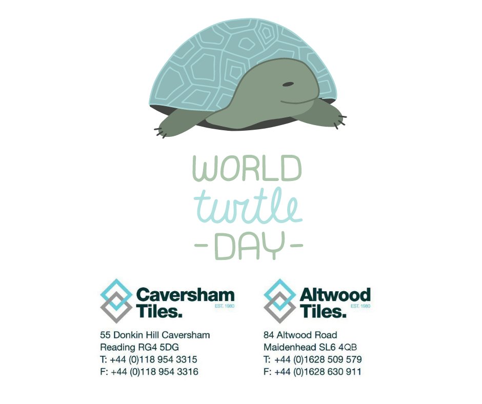 Celebrating the slow and steady guardians of our marine world - Happy World Turtle Day! 🐢💚 Let's take a moment to appreciate and protect these ancient mariners. #WorldTurtleDay #Conservation #SlowAndSteady