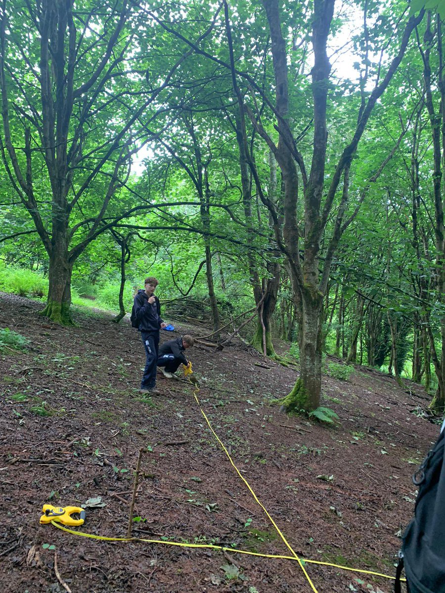 Yesterday was all about calculating carbon content, perhaps better known as our ‘tree hugging’ day!

<a href="/FSCNettlecombe/">Nettlecombe Court</a>