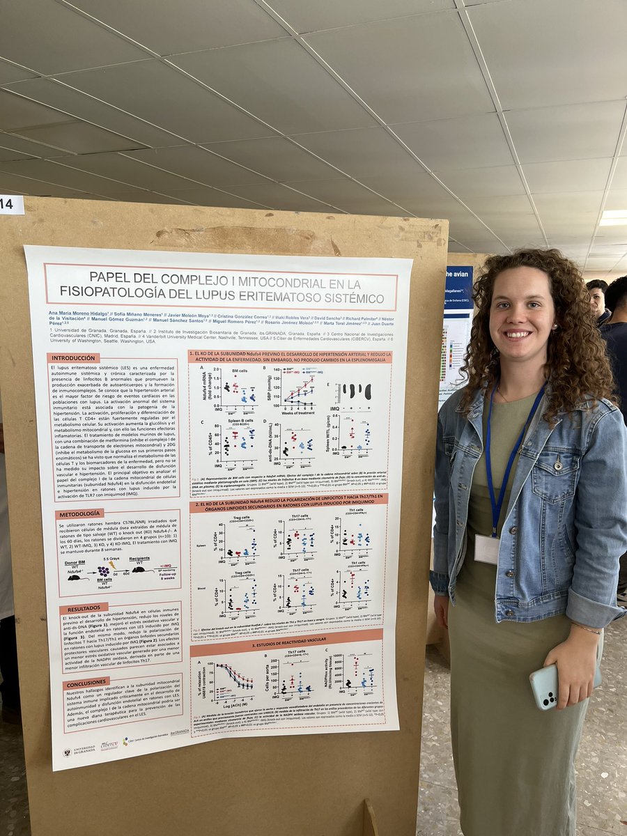 Hoy nuestros estudiantes están presentando sus trabajos de investigación en las Jornadas de Jóvenes Investigadores de la <a href="/ffarmaciaUGR/">Facultad de Farmacia</a> #JJII2024