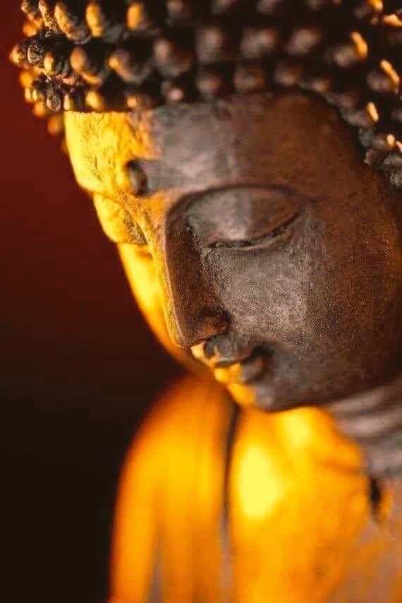 बुद्धं शरणं गच्छामि धम्मं शरणं गच्छामि संघं शरणं गच्छामि 🪷 #BuddhaPurnima