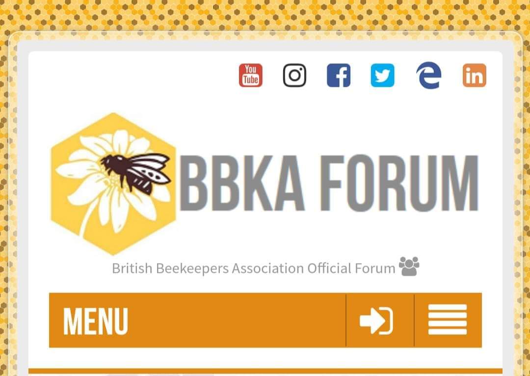 BBKA's Forum Technical Admin bbkaforum.co.uk The BBKA is looking for a new administrator. This is a volunteer role. We need somebody who has experience of managing a LAMP system. en.wikipedia.org/wiki/LAMP_(sof… Are you that person? contact erica.challis@bbka.org.uk