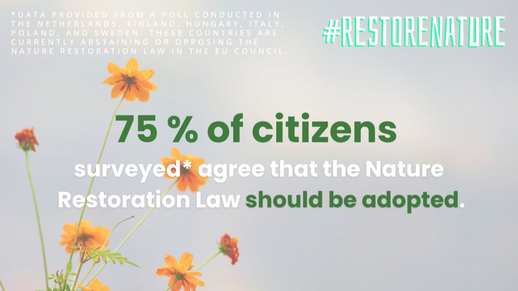 ➡️ A new survey shows 75% of citizens in Italy, Sweden, Finland, the Netherlands, Hungary, and Poland support the Nature Restoration Law. ⚠️With a crucial vote on June 17, we urge these governments to notice their citizens and approve the NRL. 👉 bit.ly/3wINvSZ