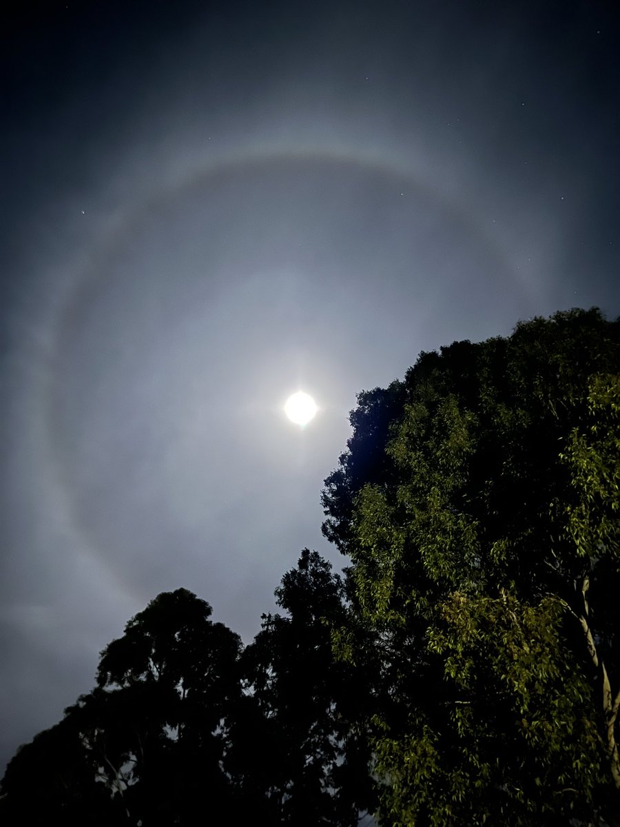 Graeme Finlayson tweet media