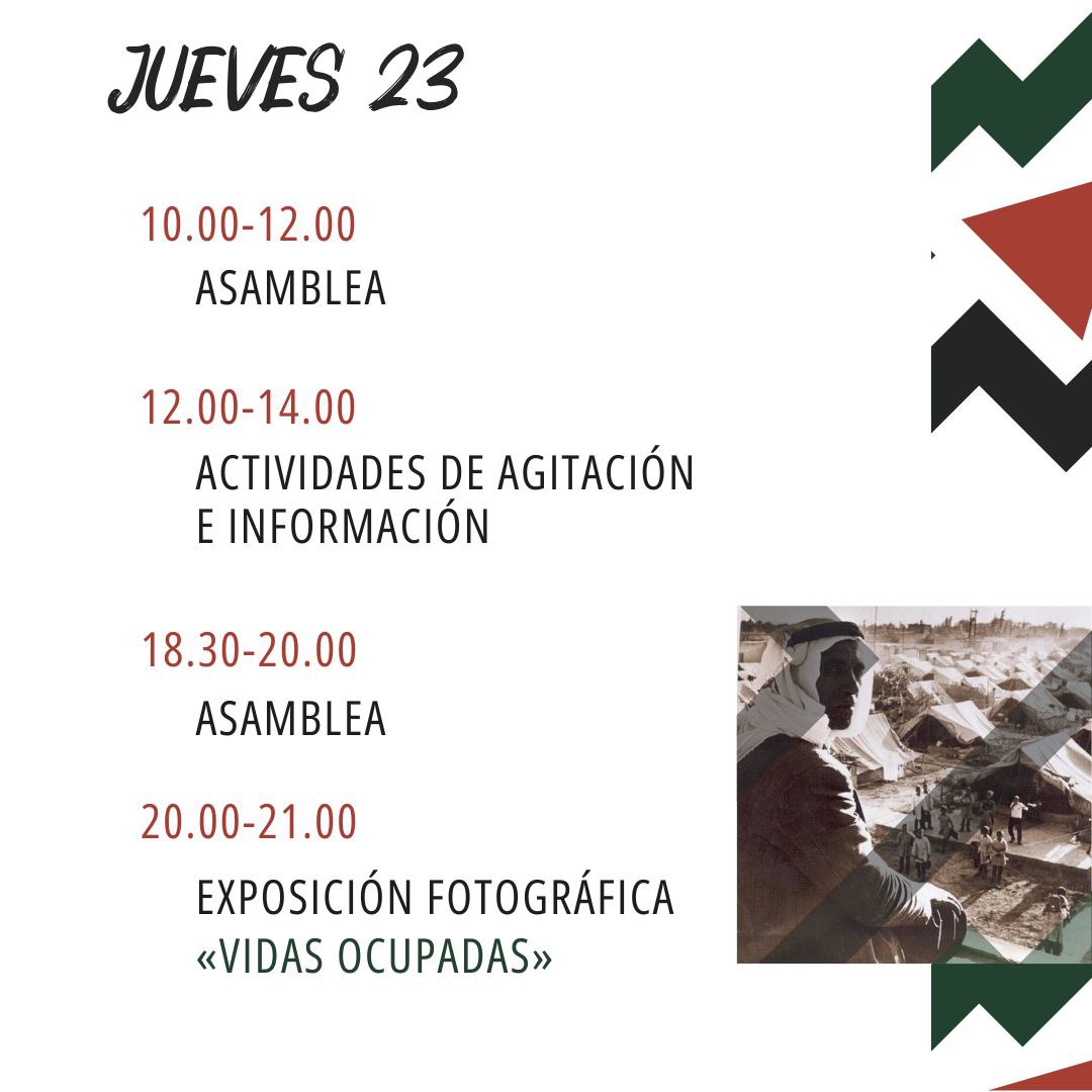 Acampada Málaga x Palestina tweet media