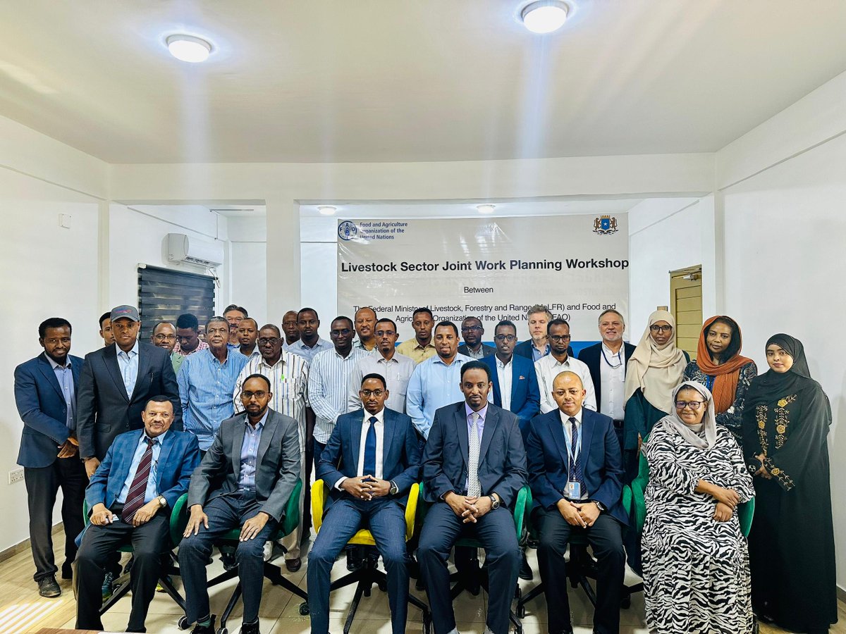 FAOSO and MOLFR are joining forces to define what a resilient future looks like for pastoralists in Somalia! @FAOSomalia & FGS Ministry of Livestock @MoLFR_SO carrying out a Livestock Sector Joint Work Planning workshop in Mogadishu today. #Somalia #Livestock #Partnerships