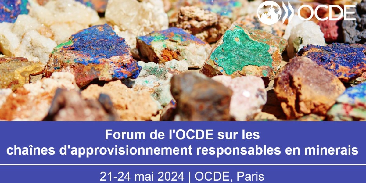 L’objectif zéro émission nette signifie une demande en minéraux des technologies énergétiques propres multipliée par 3.5. Pour en savoir plus, rendez-vous au Forum de l’OCDE pour des chaînes d’approvisionnement responsables en minéraux: brnw.ch/21wK3Jb | #OCDEMineraux