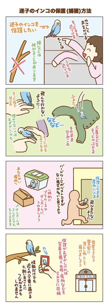 <a href="/kntdth/">Ｏ．Ｄ．Ａ</a> すみません迷子でして💦

もしまだいるようでしたら、可能でしたらこちらをお試しいただけないでしょうか🙏