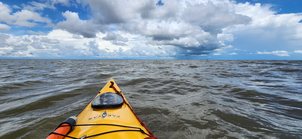 Mister Kwai tweet media