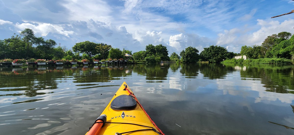 Mister Kwai tweet media