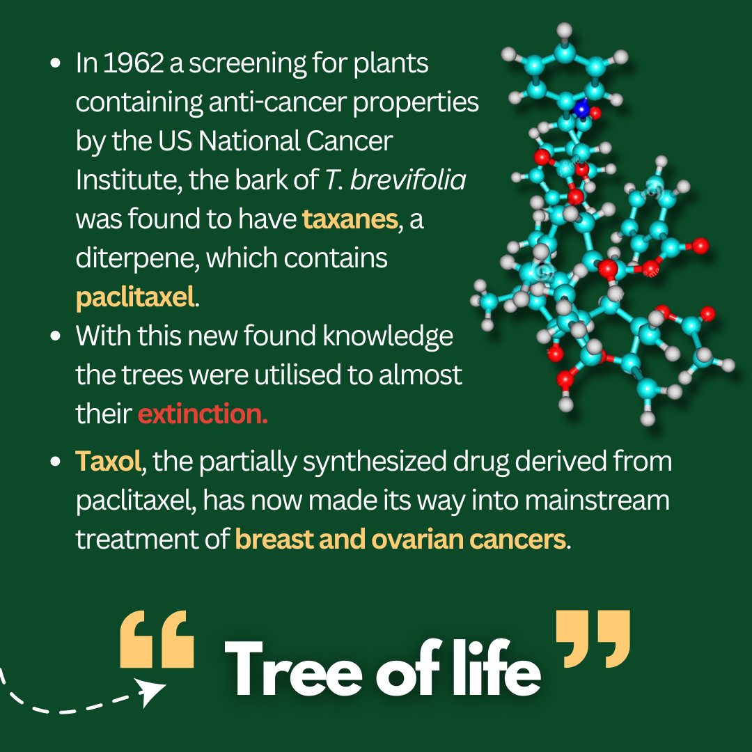 Biologics_W's tweet photo. 𝐈𝐧𝐭𝐞𝐫𝐧𝐚𝐭𝐢𝐨𝐧𝐚𝐥 𝐃𝐚𝐲 𝐟𝐨𝐫 #𝐁𝐢𝐨𝐥𝐨𝐠𝐢𝐜𝐚𝐥 𝐃𝐢𝐯𝐞𝐫𝐬𝐢𝐭𝐲🌱

This case study highlights #nature's potential to solve challenging #medical problems and emphasizes the importance of #sustainable bioprospecting and #pharmaceutical development. https://t.co/hq2TBnrfCn