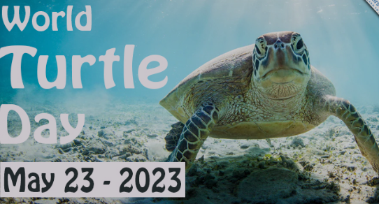 iobjournal@sicb.org tweet media