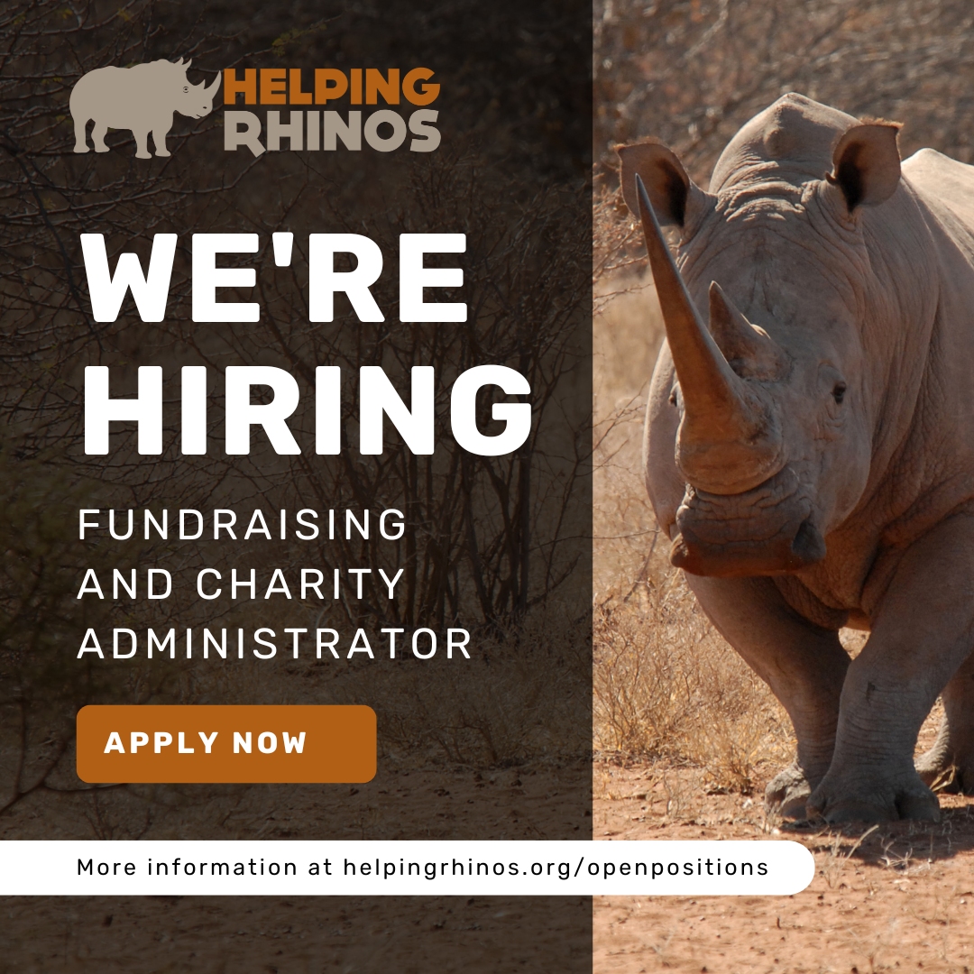 🦏 WE'RE HIRING - Fundraising & Charity Administrator 🦏 This is an excellent opportunity for someone looking to kick start a career in fundraising who wants to gain insight into the essential ingredients that underpin successful income generation first⬇️ helpingrhinos.org/openpositions/