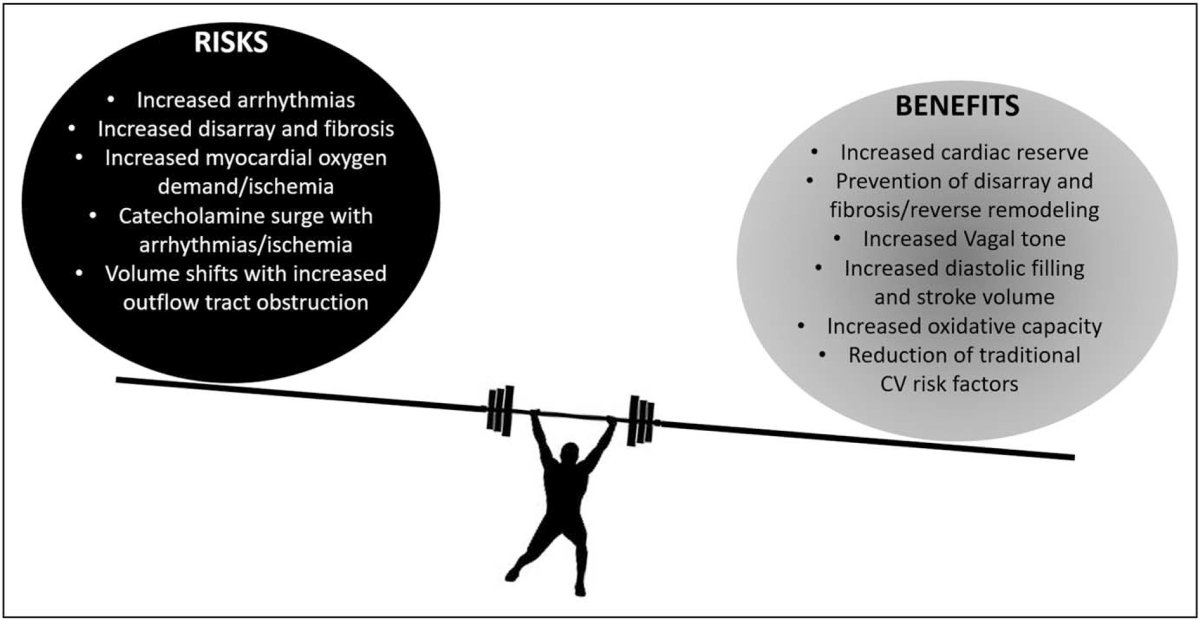 Hypertrophic cardiomyopathy and competitive sports: let ‘em play? journals.lww.com/co-cardiology/… #Competitivesports #Athlete #SportsCardiology #HCM