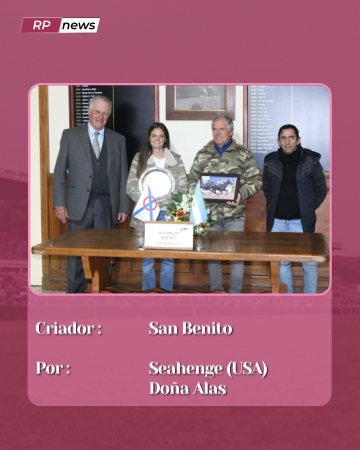 Revista Palermo tweet media