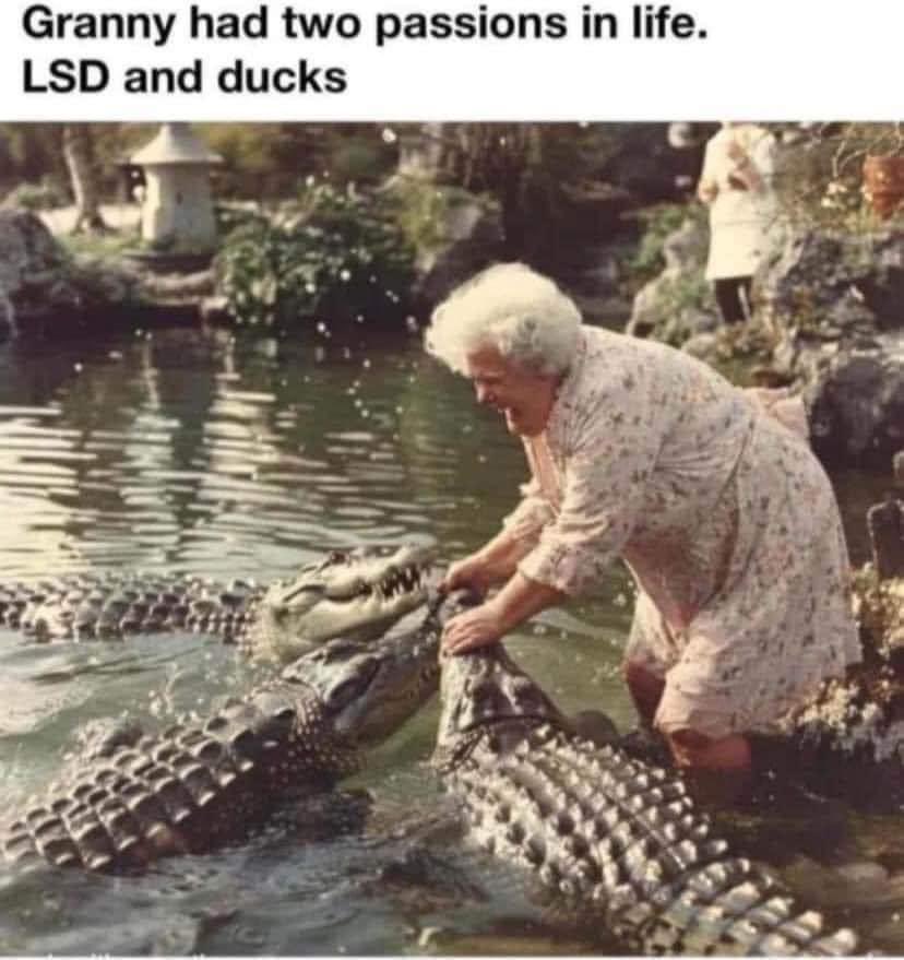robboyes's tweet photo. True story https://t.co/PasbMvVGQ6
