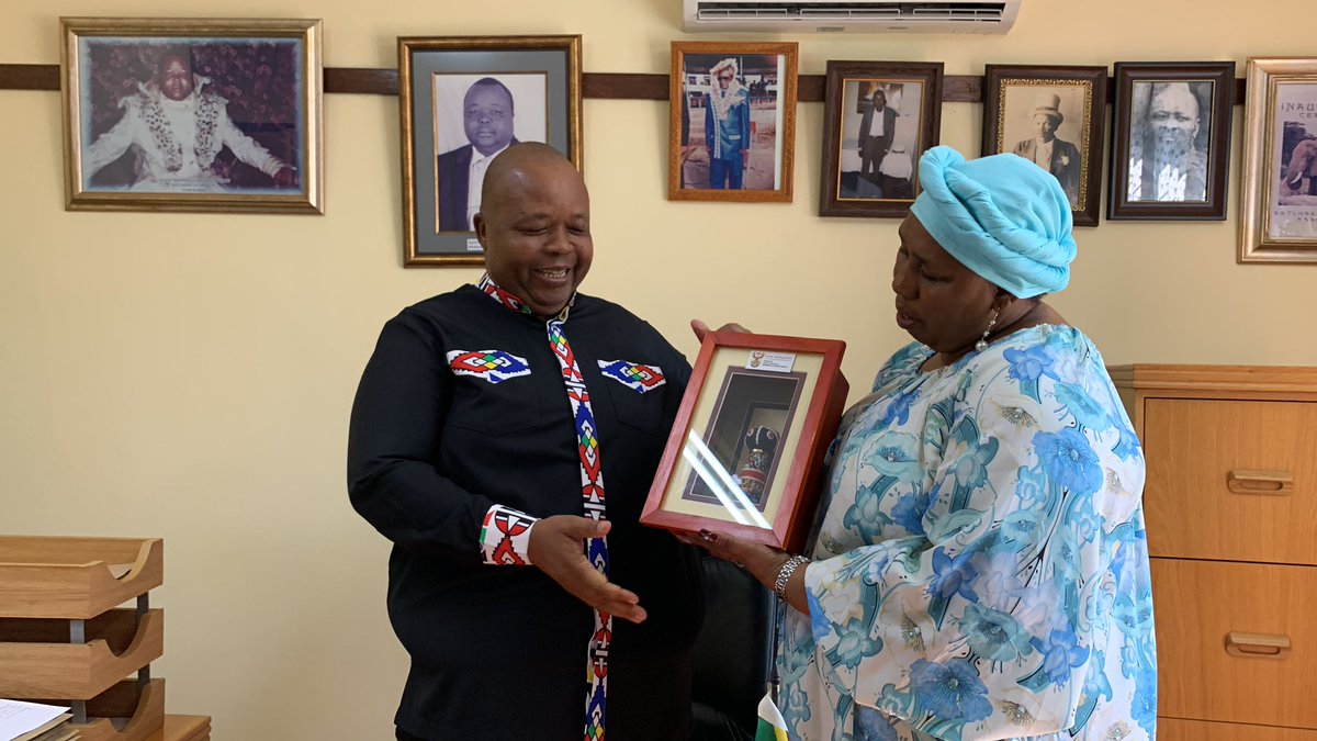 Dr Hendrietta Bogopane-Zulu Foundation tweet media