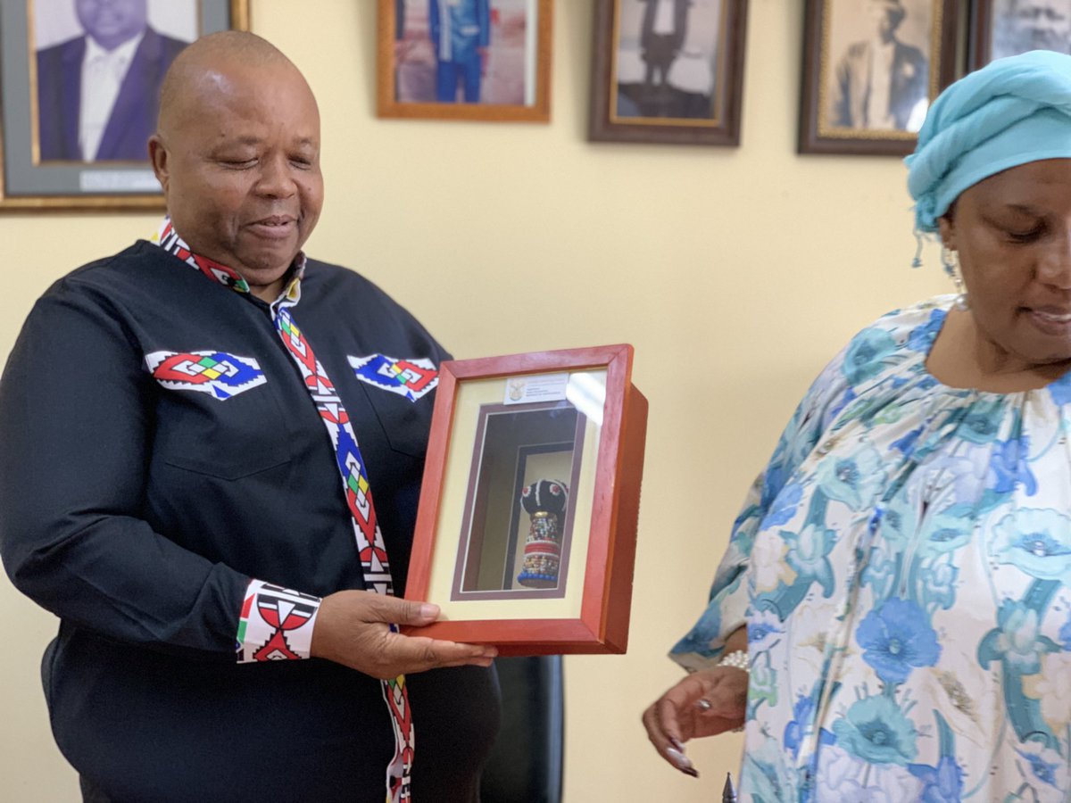 Dr Hendrietta Bogopane-Zulu Foundation tweet media