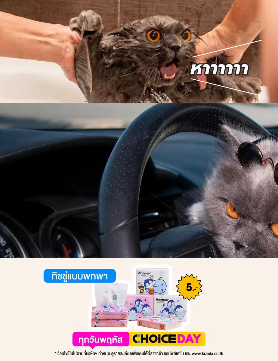 Lazada Thailand tweet media