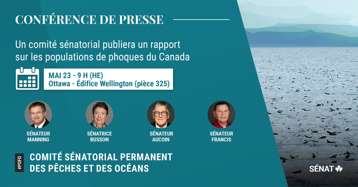 AUJOURD’HUI : Le Comité sén. des pêches et des océans tiendra une conférence de presse pour présenter son rapport sur les populations de phoques au Canada. Participants : les sénateurs Manning (président), Busson (vice-présidente), Aucoin et @BrianFrancisPEI.
#SenCA #POFO #PolCan