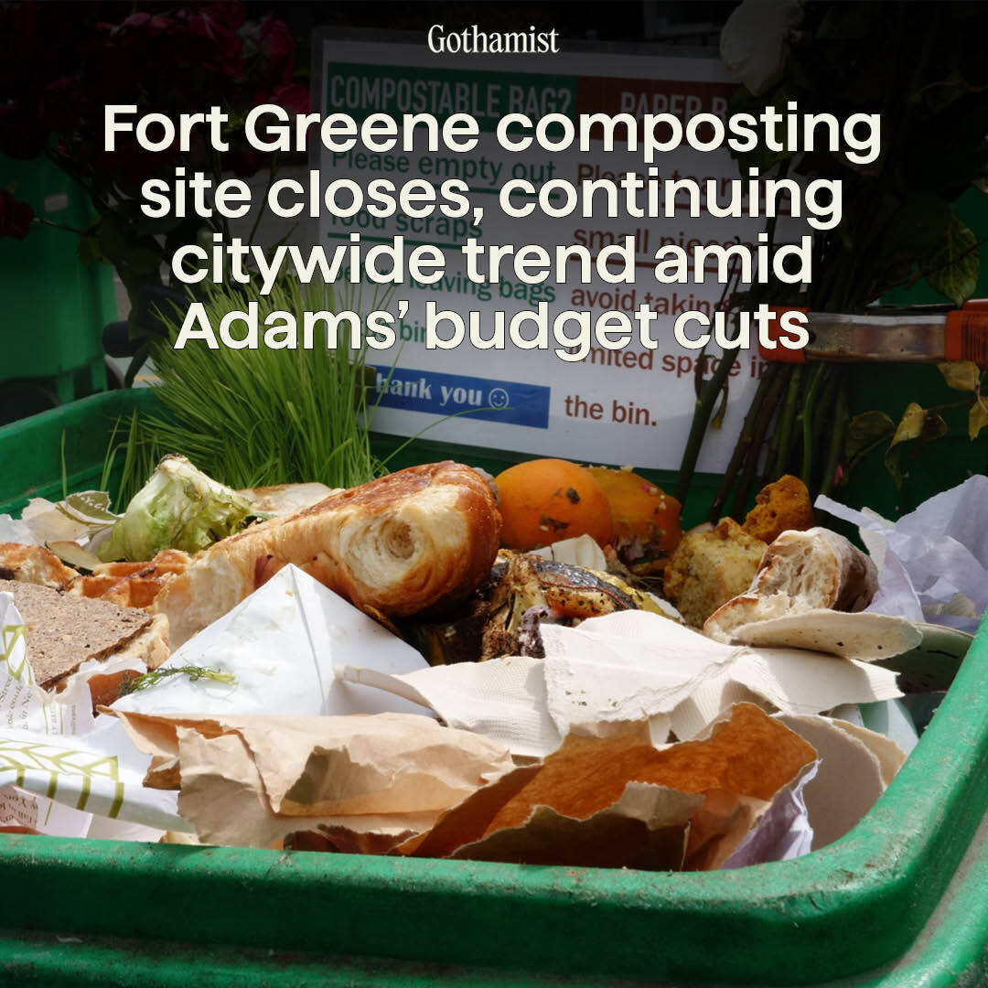 Gothamist tweet media