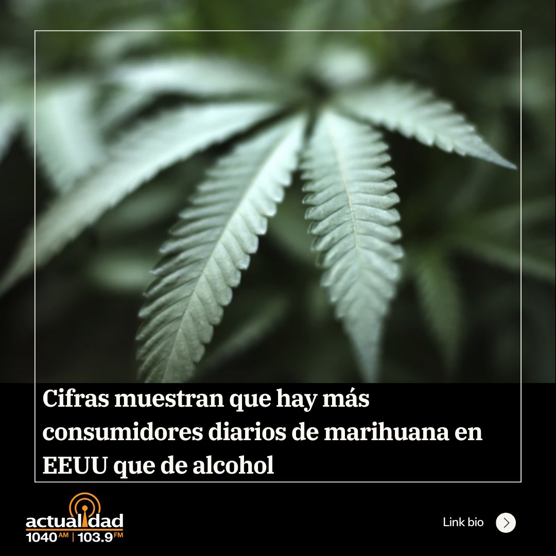 Cifras muestran que hay más consumidores diarios de marihuana en EEUU que de alcohol Unas 17,7 millones de personas afirmaron haber consumido marihuana a diario o casi a diario en 2022. actualidadradio.com/cifras-muestra…