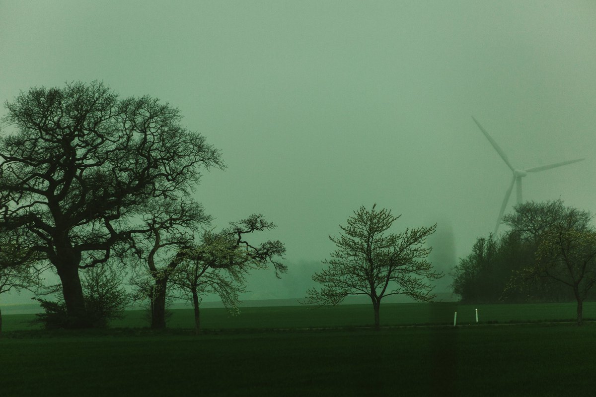 Countryside stillness covered with magic fog. #udkantsdroemmer #denmark #danmark #lolland #nature #NaturePhotography #NatureBeauty #natur #countryfile #udkantsdanmark #mist #fog #tåg #træer #træ #tree #trees #field #mark