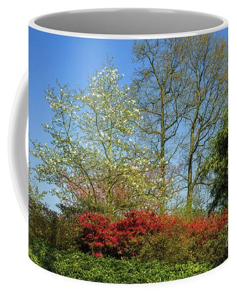 Colorful trees Buy it here: buff.ly/4bkFdzH #finearts #WallArt #homedecor #art #AYearForArt #LoveArt #photography See more here: buff.ly/3x5pkxY By buff.ly/3i3uCm2 #coffeemug #trees #colorful #beautiful #nature