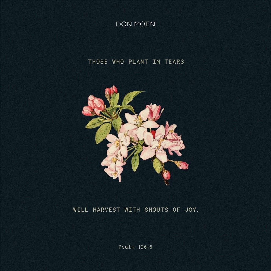 What a good reminder for us to LOOK AHEAD of our struggles; the tears that fall now, plant the seeds of joy to come! #tears #joy #psalm #dailybibleverse #jesusiscalling #godisgood #jesuslovesyou #pursuechrist #fosterlove #donmoen