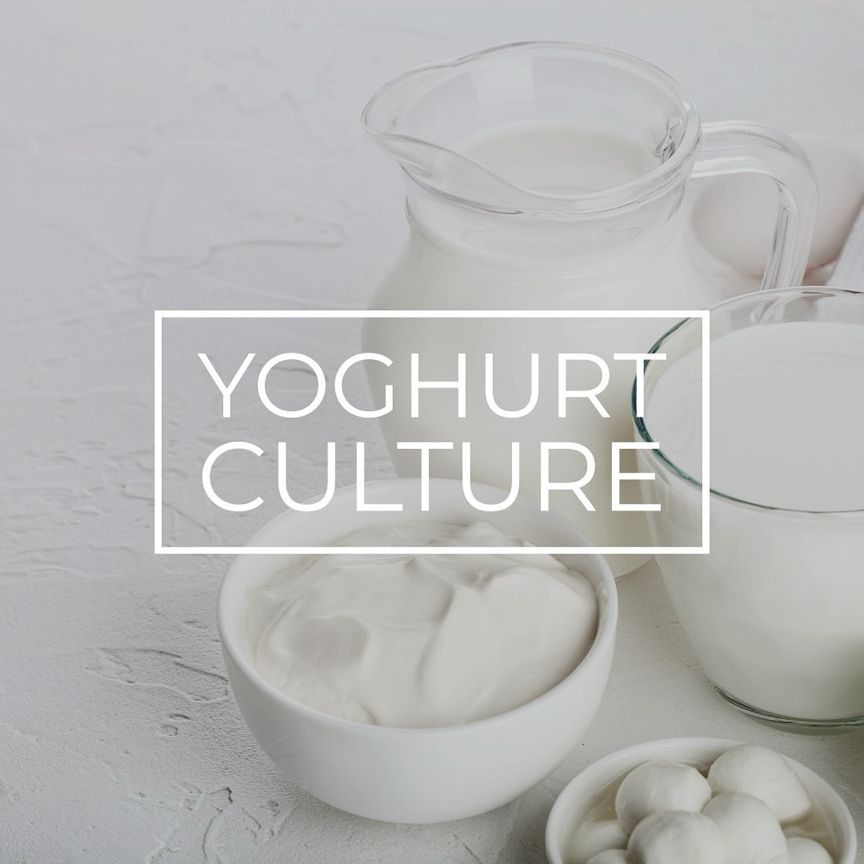 Making Yoghurt? 🥛🥛🥛🥛🥛

✅ Yoghurt Culture

Ksh.2500/=

☎️: 0739959662

#Yoghurt #YoghurtCulture #fermentedfoods #fermentation #Natural #homemade #probiotic #goodbacteria #yummy #yummyinmytummy #ArtisanalGourmet #NaisenyaFoods 💯