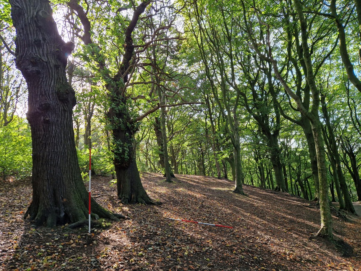 Meet the Project Team & find out about some of the heritage & ecological findings for the Digging Deeper project. 10am-1pm by the Rose Garden Cafe 28th May Walk at 12. @GleadlessVTrees @Heritage_Angel @WardsendCem @besscountess @SYEconet @UpperDonTrail @Timewalkproject @sj_unwin